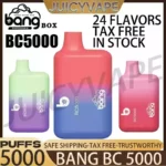 BANG BC 5000 Puffs The Ideal Wholesale Disposable Vape with 13ml E Liquid Capacity
