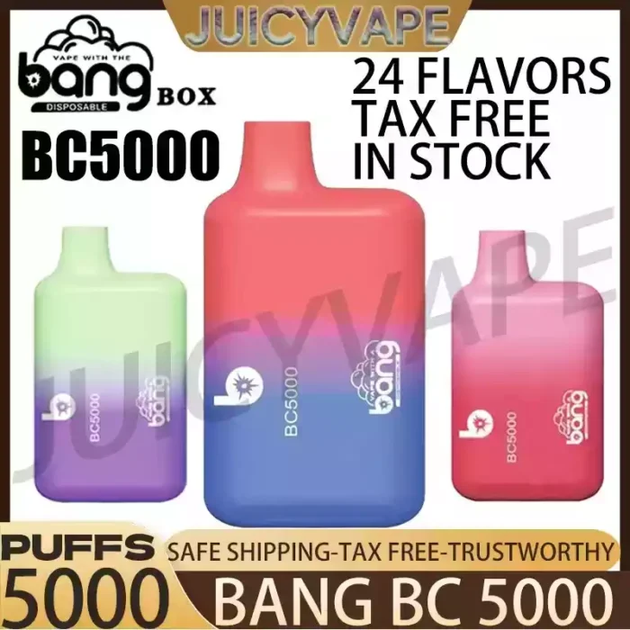 BANG BC 5000 Puffs The Ideal Wholesale Disposable Vape with 13ml E Liquid Capacity