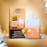 BANG BC 5000 Puffs The Ideal Wholesale Disposable Vape with 13ml E Liquid Capacity