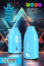 BANG King 12000 Puffs Extended Use with 12000 Puffs 1.2 Ohm Resistance and Type C Charging