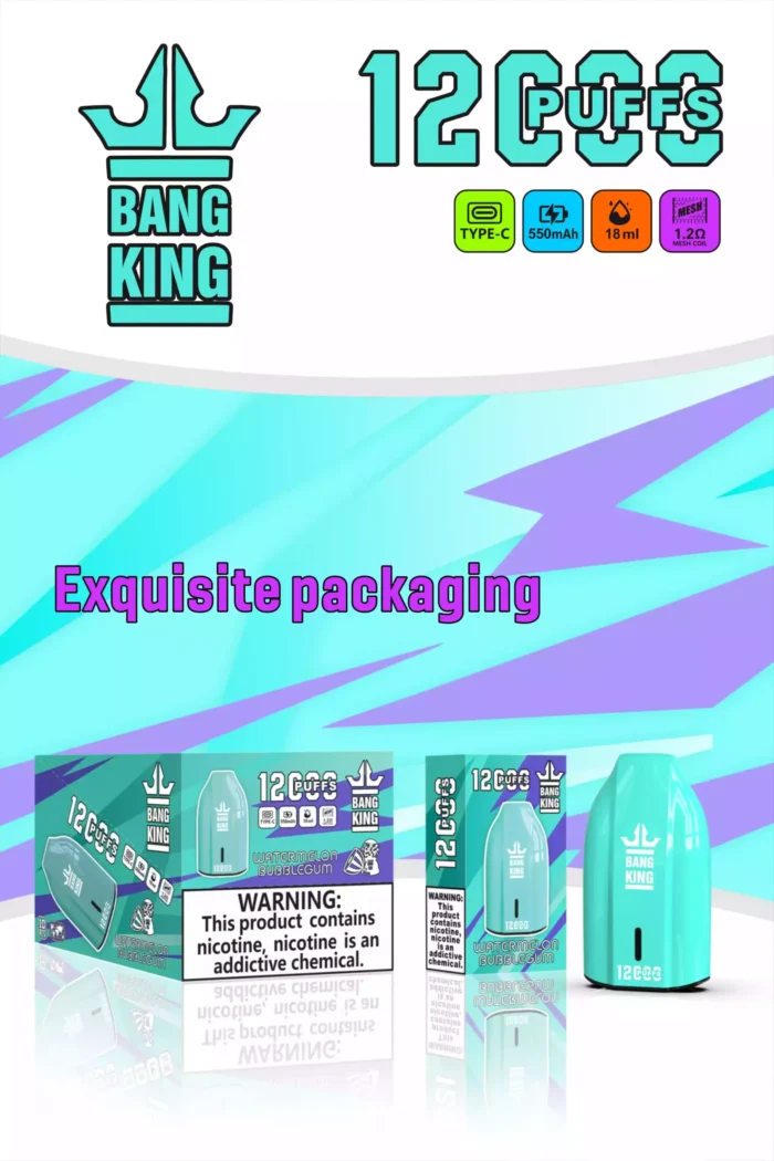 BANG King 12000 Puffs Extended Use with 12000 Puffs 1.2 Ohm Resistance and Type C Charging