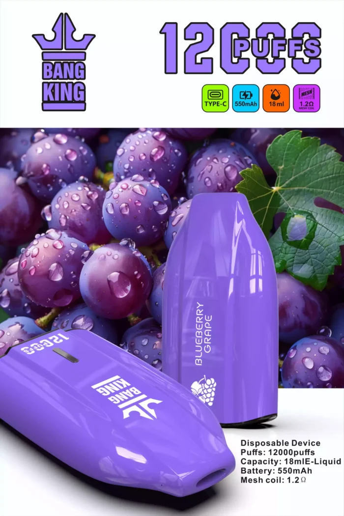 BANG King 12000 Puffs Extended Use with 12000 Puffs 1.2 Ohm Resistance and Type C Charging