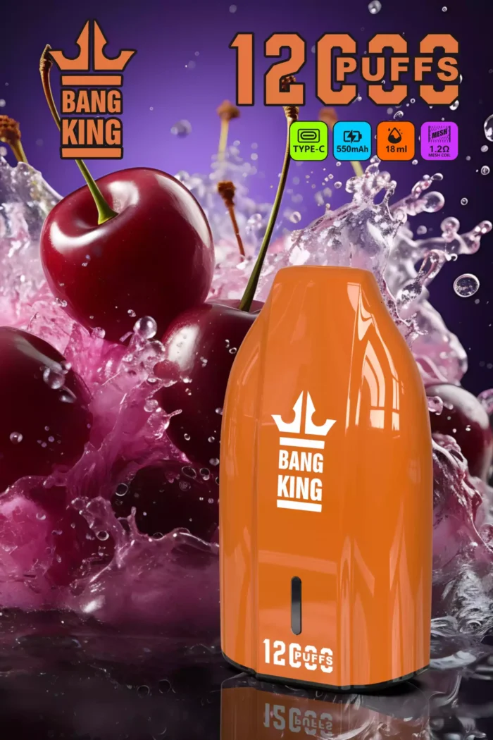 BANG King 12000 Puffs Extended Use with 12000 Puffs 1.2 Ohm Resistance and Type C Charging