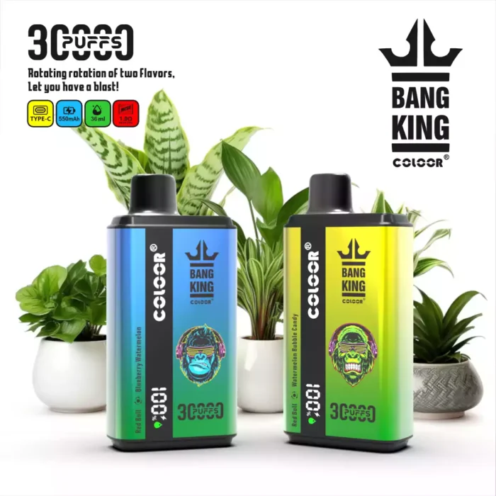 BANG King 30000 Puffs Long Lasting Vape with 36ml E liquid and Rechargeable Battery