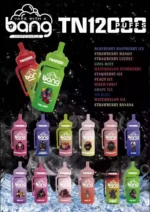 BANG TN 12000 Puffs 12000 Puffs and 20ml E Liquid for Ultimate Vaping Experience
