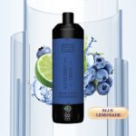 BREZE STIIK BS Kingmax Pro 18000 Puffs 24ml E Liquid Capacity for Long Lasting Enjoyment
