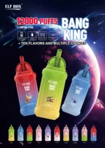 ELF BOX BK 12000 Puffs Perfect for Wholesale with Competitive Pricing and High Demand