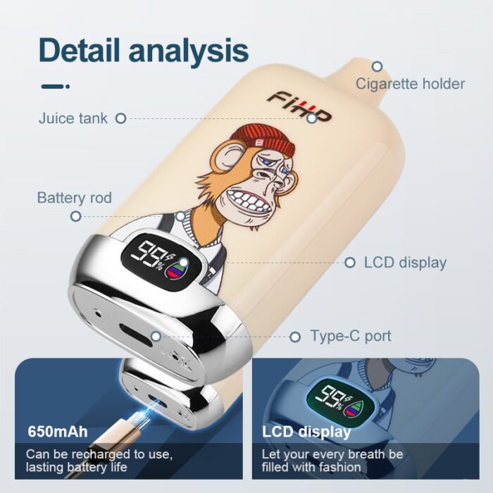 FIHP 12000 Puffs Rechargeable Type C Vape with 20ml E liquid Capacity