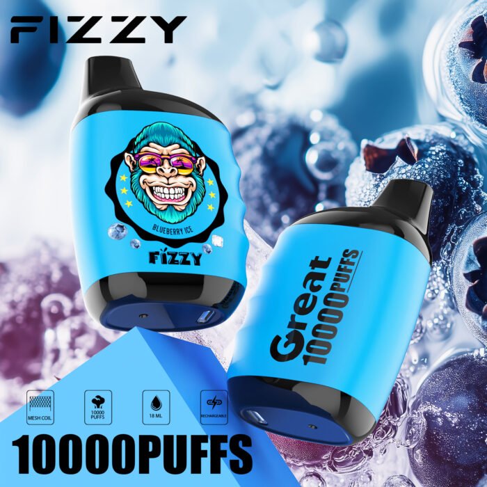 FIZZY Great 10000 Puffs Long Lasting 650mAh Battery and 18ml E Liquid Capacity
