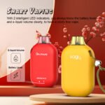 Grativape Boom 9000 Puffs Long Lasting 14ml Capacity with Rechargeable Type C