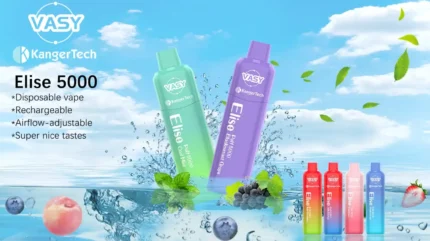 VASY Elise 5000 Puffs Long lasting 13ml E Juice Capacity with Mesh Coil Technology