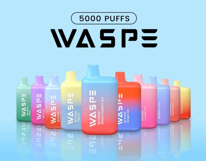 WASPE 5000 Puffs A Premium Wholesale Disposable Vape with Mesh Coil and Type C Charging