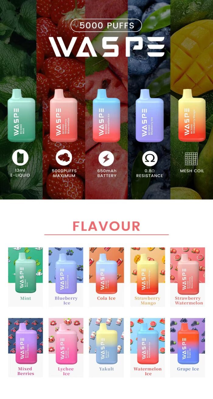WASPE 5000 Puffs A Premium Wholesale Disposable Vape with Mesh Coil and Type C Charging