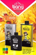 BANG20000 DSK046 B20HD Type C Vloeistofvrije Vape