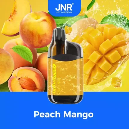 JNR INFINITY-BOX 10700 PUFF Long-Lasting Vape