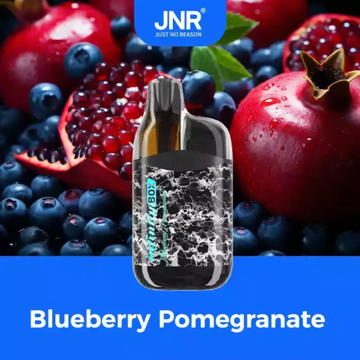 JNR INFINITY-BOX 10700 PUFF Long-Lasting Vape