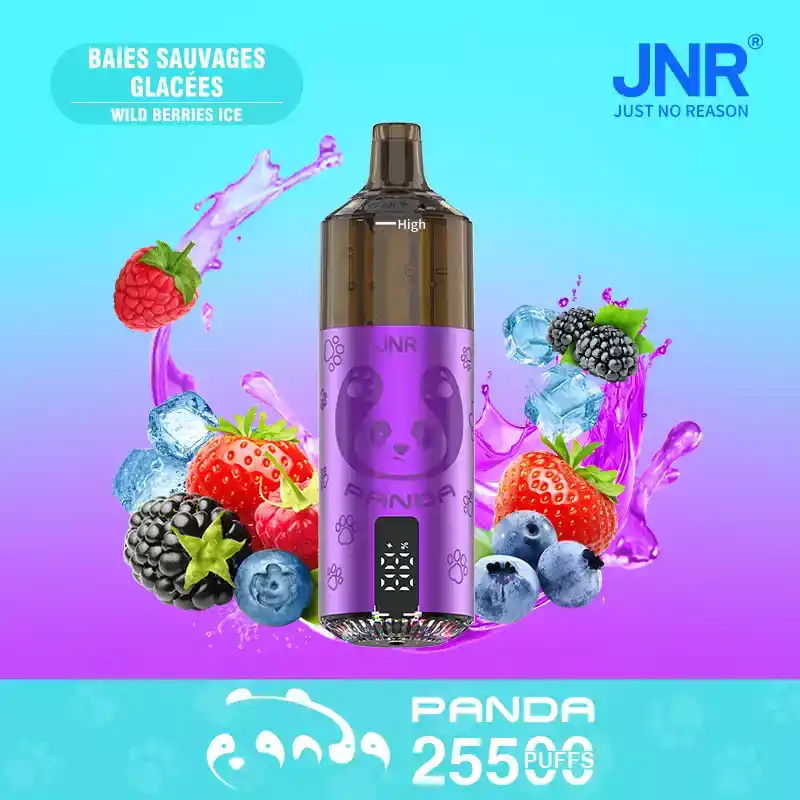 Buy Disposable Vapes Online – VapeCityeu | Europe Delivery 42 JNR Panda 25500 PUFF – Powerful & Flavorful Vape