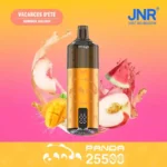 JNR Panda 25500 PUFF – Powerful & Flavorful Vape