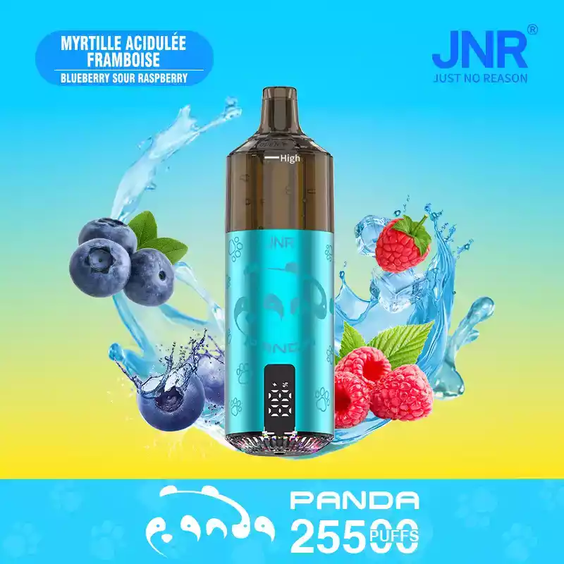 JNR Panda 25500 PUFF – Powerful & Flavorful Vape