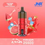 JNR Panda 25500 PUFF – Powerful & Flavorful Vape