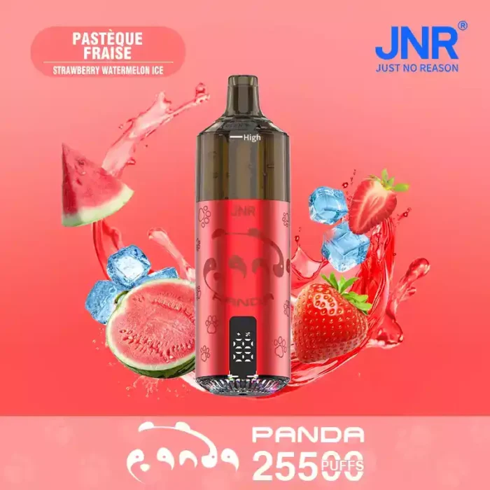 JNR Panda 25500 PUFF – Powerful & Flavorful Vape