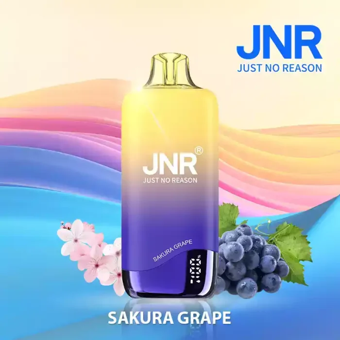 JNR Rainbow 10500 Puffs USB-C Charging Vape