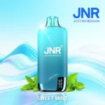 JNR Rainbow 10500 Puffs USB-C Charging Vape