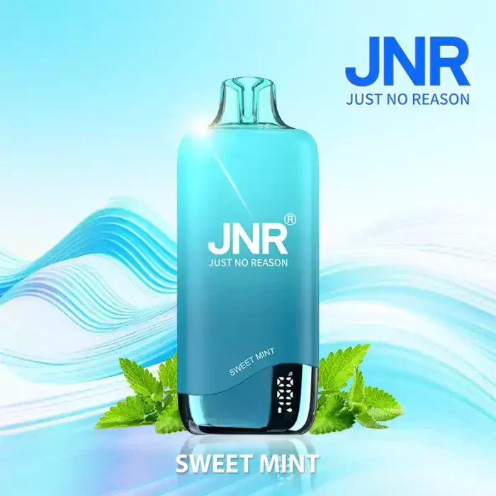 JNR Rainbow 10500 Puffs USB-C Charging Vape