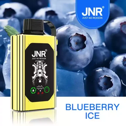 JNR SHISHA BOX 30000 PUFF Vape Review