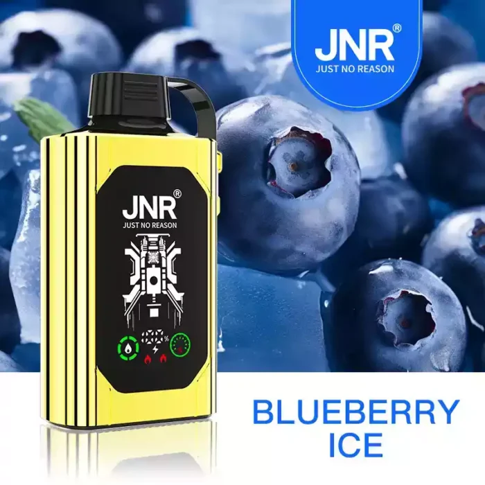 JNR SHISHA BOX 30000 PUFF Vape Review