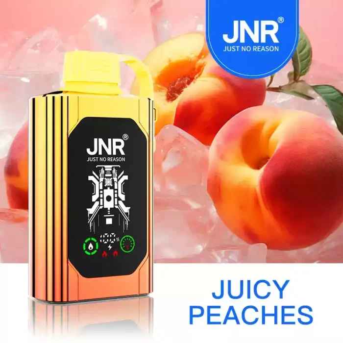 JNR SHISHA BOX 30000 PUFF Vape Review