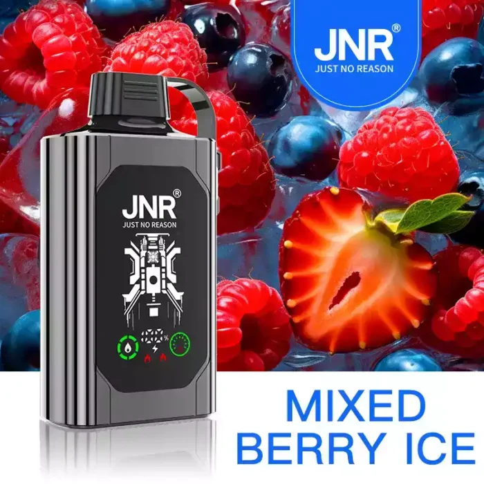 JNR SHISHA BOX 30000 PUFF Vape Review