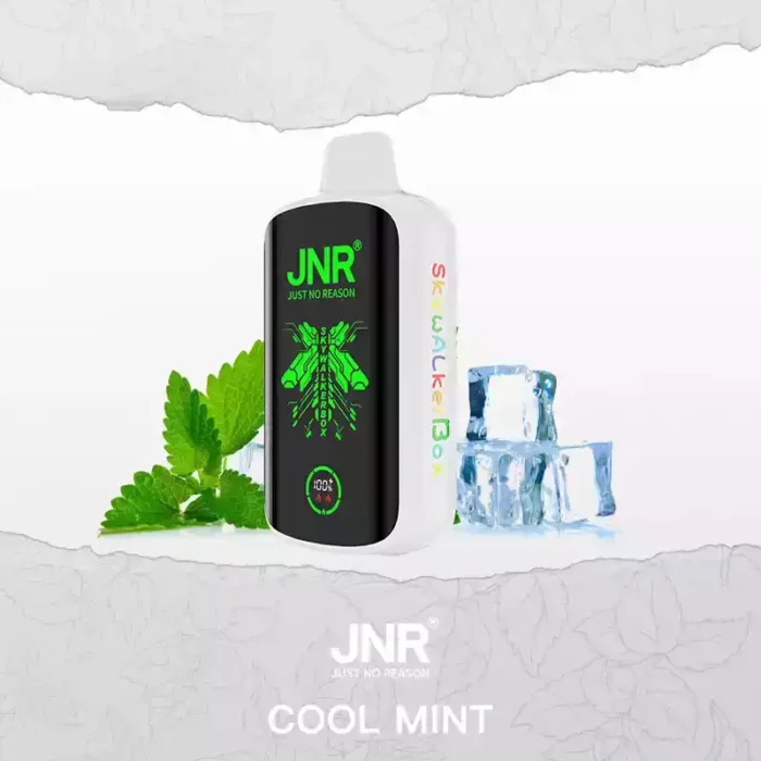 JNR SKYWALKER BOX 21000 PUFF Vape Review