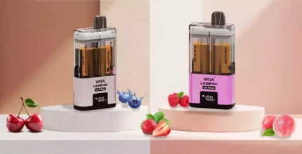 WGA-30K Puffs Disposable Vape Unmatched Vaping Experience