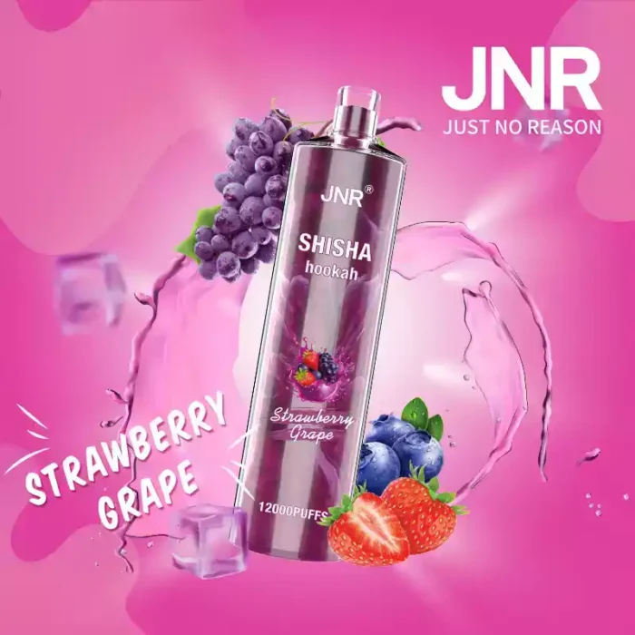 JNR Shisha 12K Puffs Engangs-damp