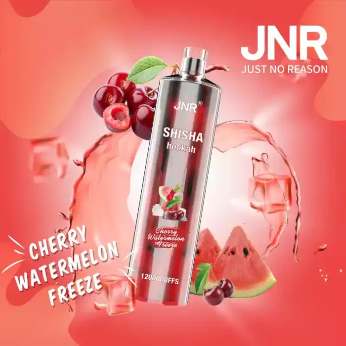 JNR Shisha 12K Puffs Engangs-damp