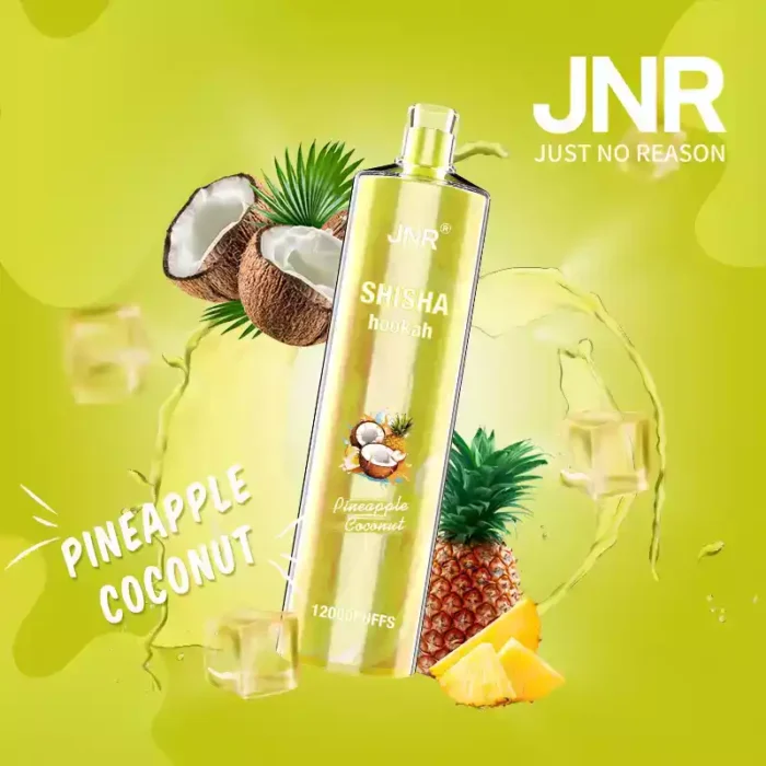 JNR Shisha 12K Puffs Engangs-damp
