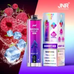 JNR Shisha Hookah Max 22K Puff Disposable Vape