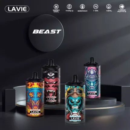 Lavie Rockt 10000 Puffs Mesh Vape